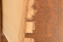 Chipped Veneer