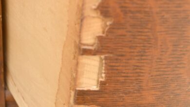 Chipped Veneer