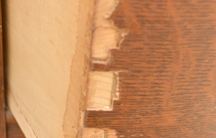 Chipped Veneer