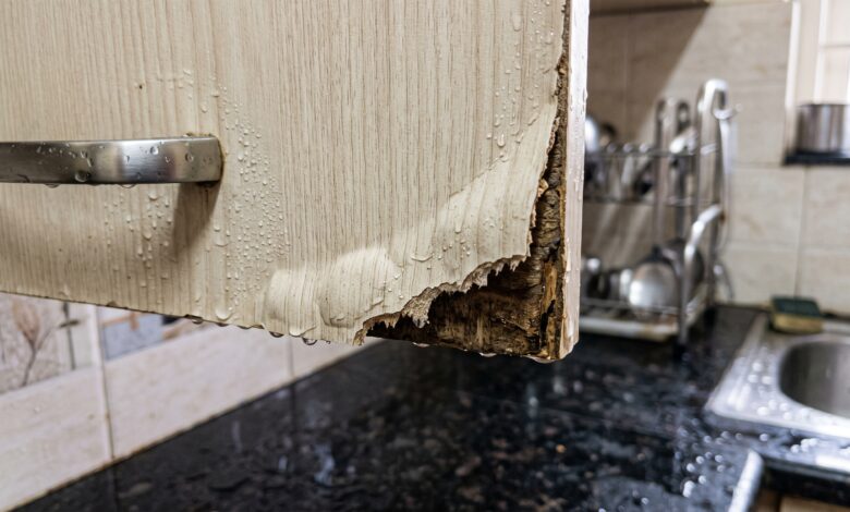 Kitchen_cabinet_shutter_peeling_
